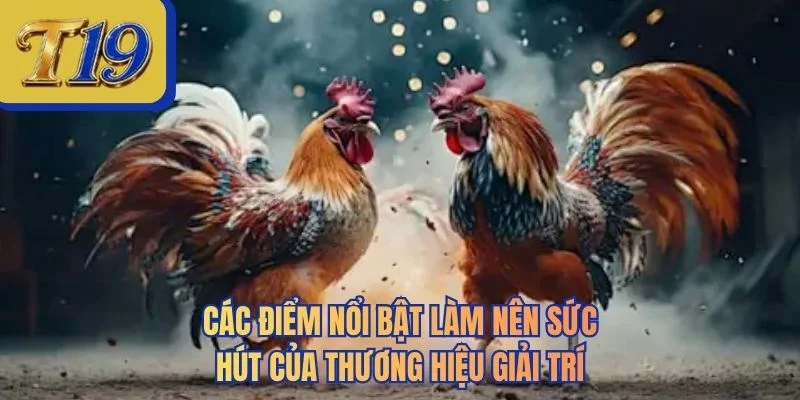 Các điểm nổi bật làm nên sức hút của thương hiệu giải trí